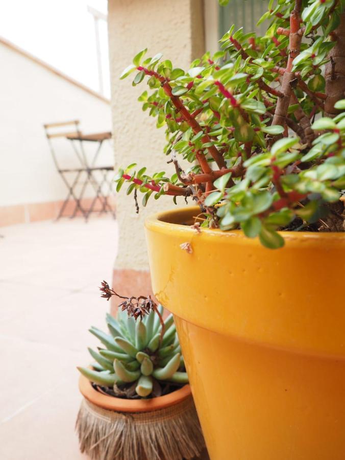 Apartaments La Rambla - Licorella - 4 Persones Cornudella de Montsant Bagian luar foto